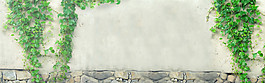 綠色植物小清新banner