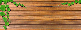 綠色植物小清新banner