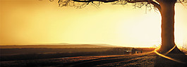 大氣簡潔banner