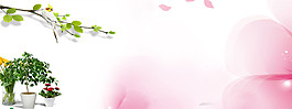 簡約花朵banner