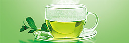 綠色植物小清新banner