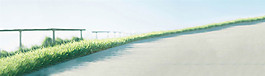 綠色植物小清新banner