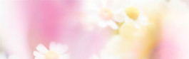 粉色banner背景素材