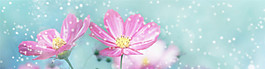 小清新banner背景素材