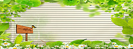 現(xiàn)代簡約綠色banner創(chuàng)意海報設計
