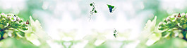 綠色唯美banner背景