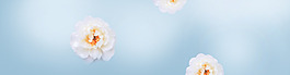 白色小清新banner背景素材
