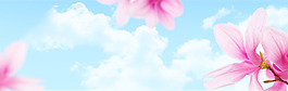 唯美淘寶背景banner素材