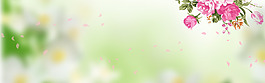 绿色植物小清新banner