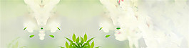 簡潔小清新背景素材