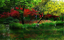 綠樹紅花景觀圖