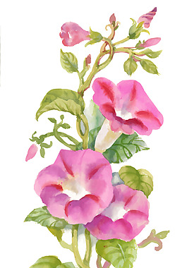 水彩繪牽?；?/>
                            </a>
                            <div   id=