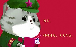 貓咪展板