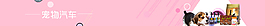 宠物食品banner