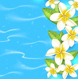 水面的上雞蛋花