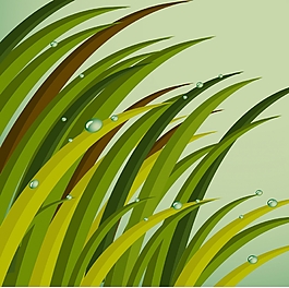 矢量草叢素材