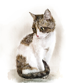 水彩绘小猫咪