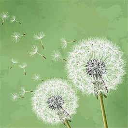 蒲公英綠色背景矢量素材下載