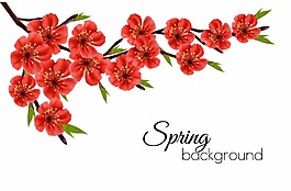 紅色的桃花