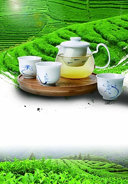 綠色茶園背景