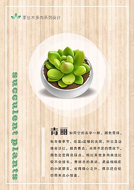 小清新文藝多肉 木板