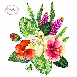 熱帶植物花朵