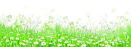 綠色的草坪