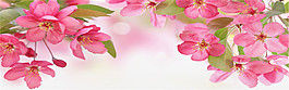 淘寶電商春季夏季春天海報(bào)banner圖片