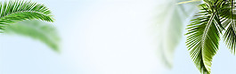 綠色植物小清新banner