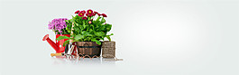 綠色植物小清新banner