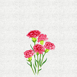 小清新文藝康乃馨母親節(jié)花朵