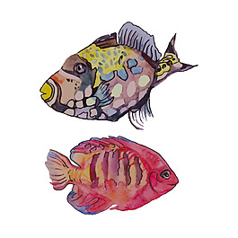 手繪水彩海洋魚(yú)矢量素材