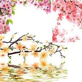 春天 桃花PSD背景素材