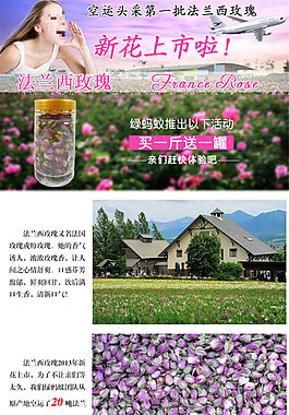 花茶淘寶電商食品茶飲詳情頁模板