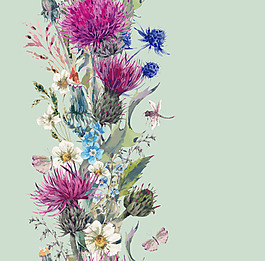 植物花朵