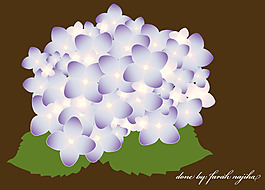 唯美花卉素材
