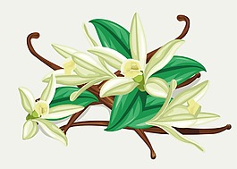 手繪鮮花素材