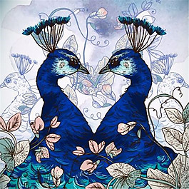 手绘蓝色孔雀插画矢量素材下载