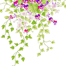 唯美花朵叶子