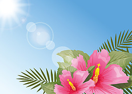 唯美夏季花卉插畫