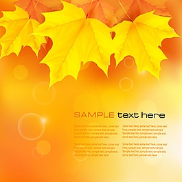 秋天楓葉矢量背景素材