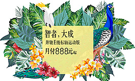 熱帶植物綠色插畫設計