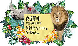 熱帶植物動物插畫設計