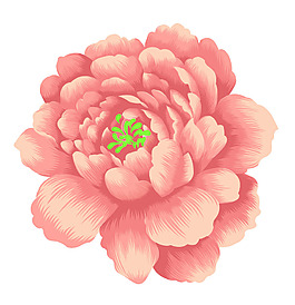 花卉 撇絲