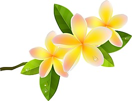 矢量树枝花卉背景素材