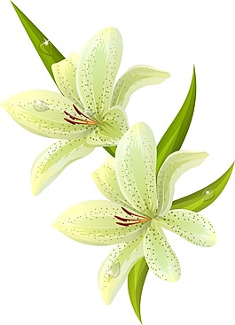 矢量裝飾花卉素材