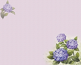 紫色花朵背景