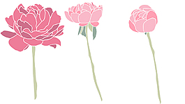 粉色手繪花卉