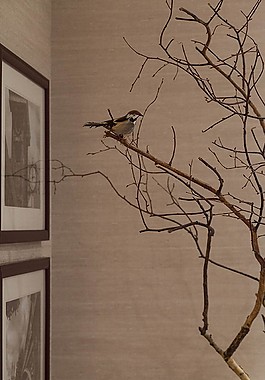 混搭室內(nèi)背景墻設(shè)計圖