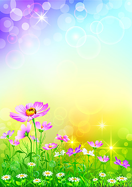 精美花紋背景EPS